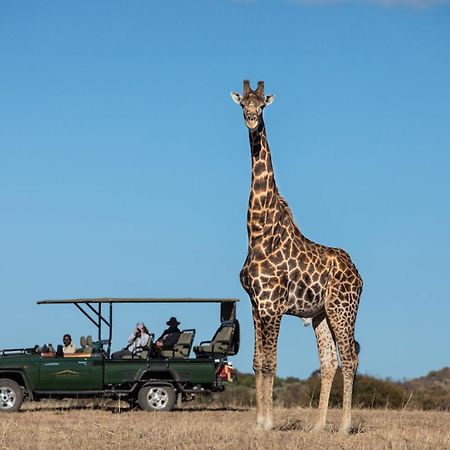 Villa Safari Plains Mabula Game Reserve Exterior foto