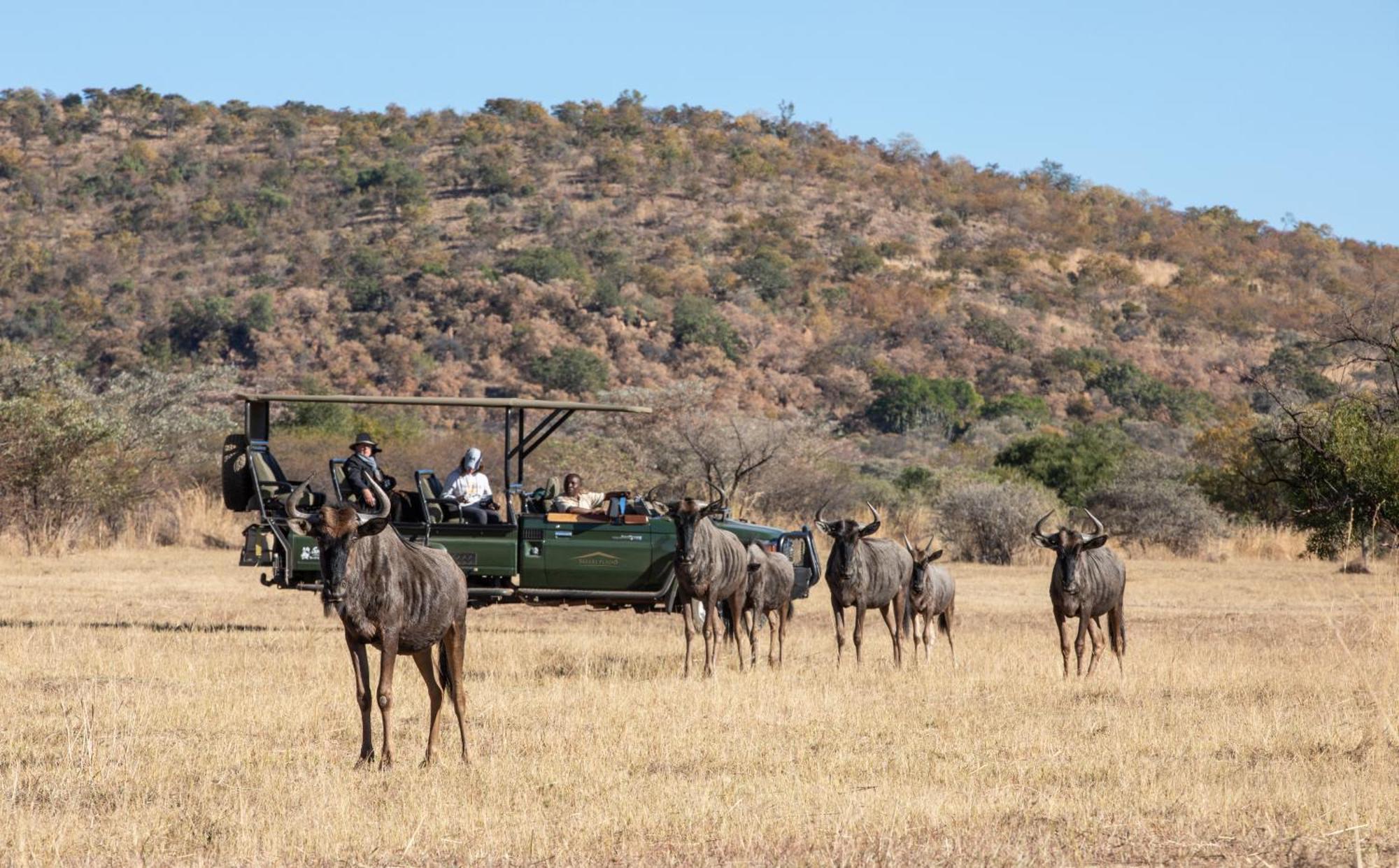 Villa Safari Plains Mabula Game Reserve Exterior foto
