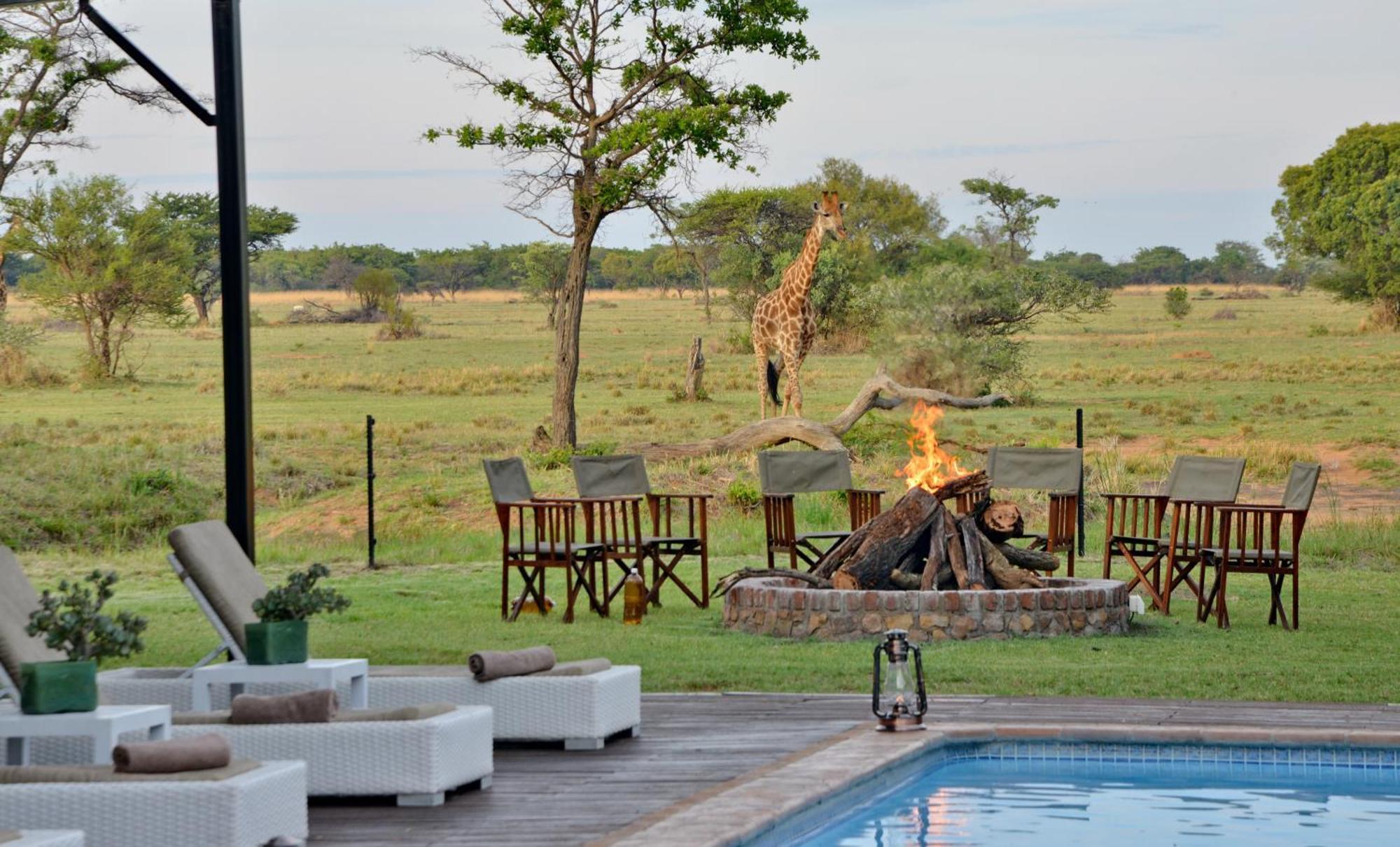 Villa Safari Plains Mabula Game Reserve Exterior foto